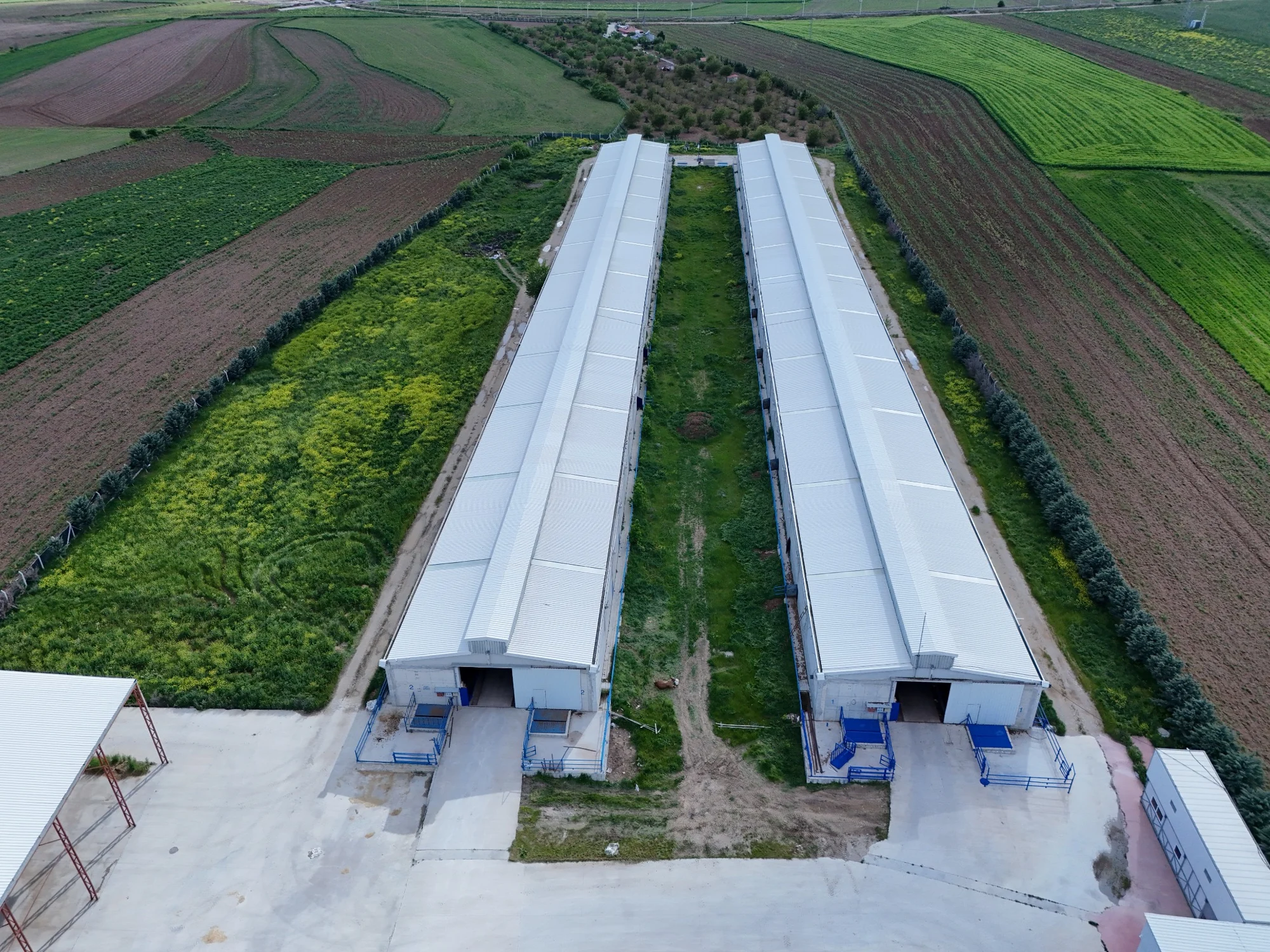 HASBESİ iki uzun ahır binasının drone görünümü