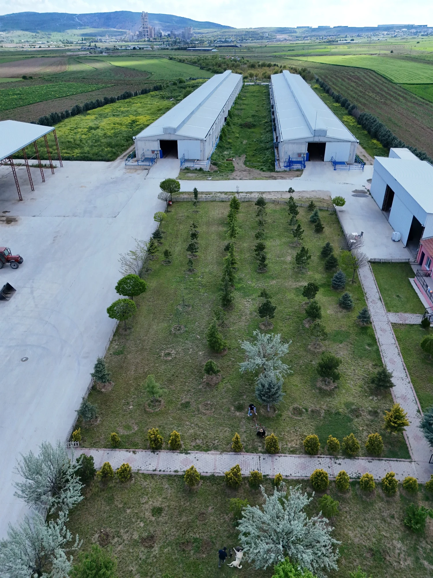 HASBESİ bahçe ve ahırlarının dikey drone görünümü